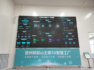 深耕四張精品網(wǎng) 助力中國(guó)式現(xiàn)代化開新篇 走進(jìn)云上之城的數(shù)據(jù)處理與存儲(chǔ)服務(wù)